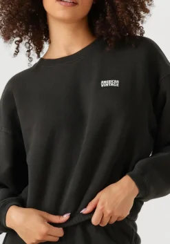 DAMES AMERICAN VINTAGE donkergrijze sweater izubird d