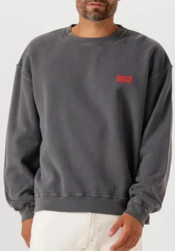 DAMES AMERICAN VINTAGE donkergrijze sweater plizzy 1