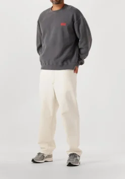 DAMES AMERICAN VINTAGE donkergrijze sweater plizzy 1