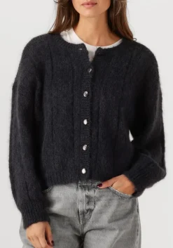 DAMES DES PETITS HAUTS donkergrijze vest chouette