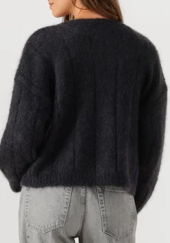 DAMES DES PETITS HAUTS donkergrijze vest chouette