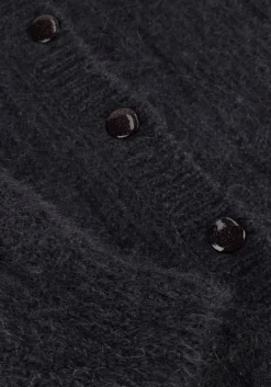 DAMES DES PETITS HAUTS donkergrijze vest chouette