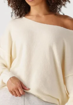 DAMES AMERICAN VINTAGE trui damsville