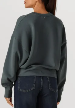 DAMES MOS MOSH trui mmcelli o-ls sweatshirt