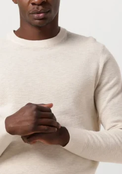 Heren PROFUOMO trui structure crew neck