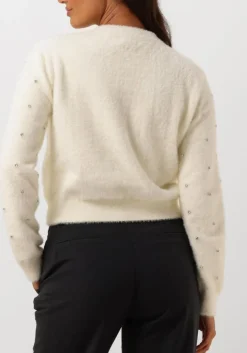 DAMES SUNCOO trui pailla