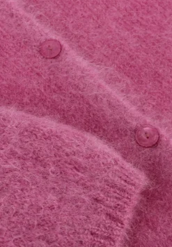 DAMES DES PETITS HAUTS vest bea