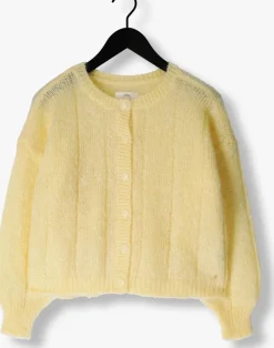 DAMES DES PETITS HAUTS gele vest chouette