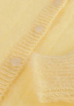 DAMES DES PETITS HAUTS gele vest chouette