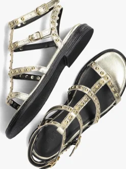 DAMES BLASZ en sandalen 1gamba100