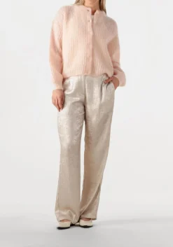 DAMES DANTE6 en pantalon charm metallic pants
