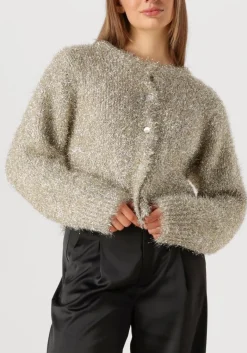 DAMES KNIT-TED en vest lynn cardigan