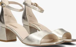 DAMES PAUL GREEN sandalen met hak 6140