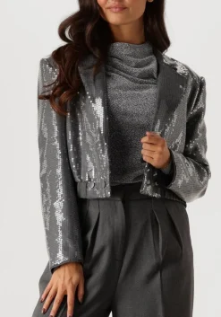 DAMES AAIKO grijze blazer mille sequins pes 356
