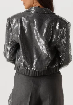 DAMES AAIKO grijze blazer mille sequins pes 356