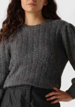 DAMES AAIKO grijze trui femme pes 377