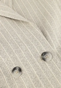 DAMES AIMEE THE LABEL grijze blazer boa