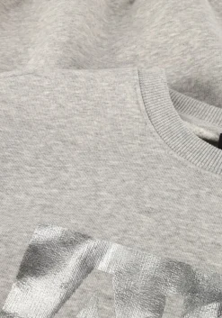 DAMES ALIX THE LABEL grijze trui foil logo sweater