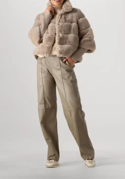 DAMES ALTER EGO grijze pantalon lucca