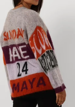 DAMES AMAYA AMSTERDAM grijze trui amaya race sweater