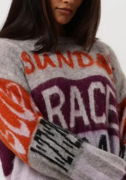 DAMES AMAYA AMSTERDAM grijze trui amaya race sweater