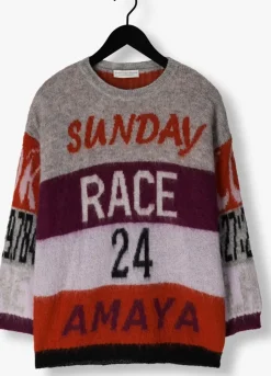 DAMES AMAYA AMSTERDAM grijze trui amaya race sweater