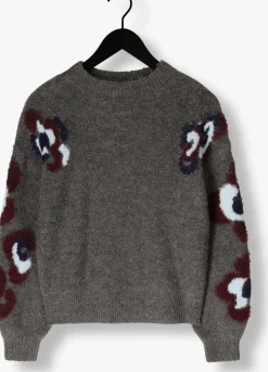 DAMES CAROLINE BISS grijze trui 4256