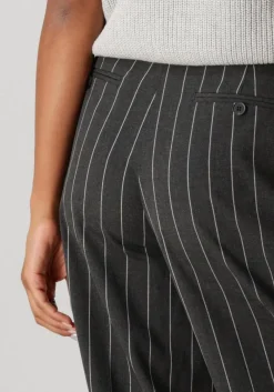 DAMES CO'COUTURE grijze pantalon prescilla pin pleat long pant