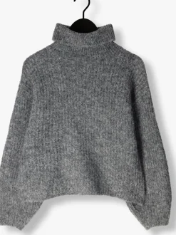 DAMES CO'COUTURE grijze trui coralie roll knit