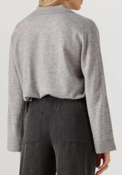 DAMES CO'COUTURE grijze trui mila polo knit