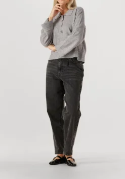 DAMES CO'COUTURE grijze trui mila polo knit