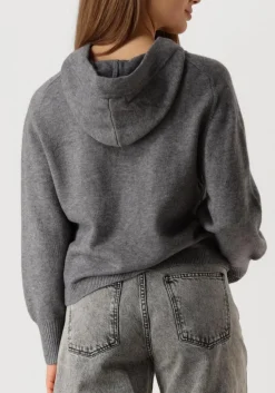 DAMES CO'COUTURE grijze trui row hoodie knit