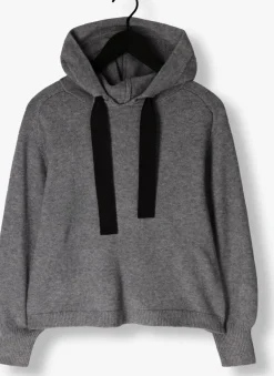 DAMES CO'COUTURE grijze trui row hoodie knit