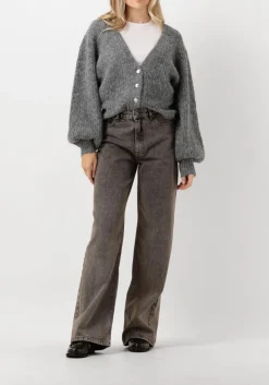 DAMES CO'COUTURE grijze vest corelie button knit