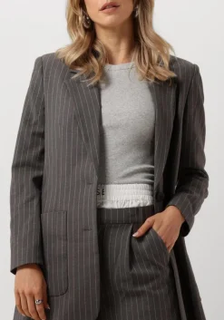 DAMES COPENHAGEN MUSE grijze blazer cmtailor-blazer