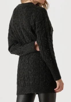 DAMES DANTE6 grijze trui croft pearl sweater