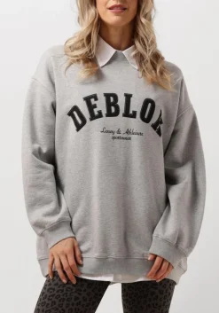 DAMES DEBLON SPORTS grijze sweater puck sweater