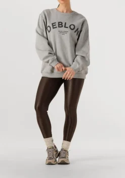 DAMES DEBLON SPORTS grijze trui cathy sweater