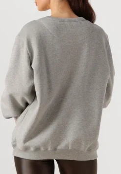 DAMES DEBLON SPORTS grijze trui cathy sweater