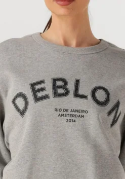 DAMES DEBLON SPORTS grijze trui cathy sweater
