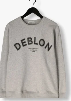 DAMES DEBLON SPORTS grijze trui cathy sweater