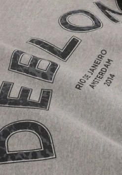 DAMES DEBLON SPORTS grijze trui cathy sweater