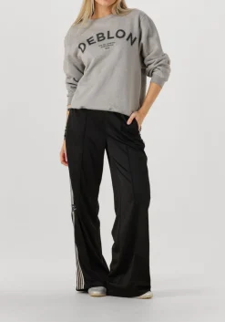 DAMES DEBLON SPORTS grijze trui cathy sweater
