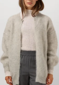 DAMES DES PETITS HAUTS grijze vest altea