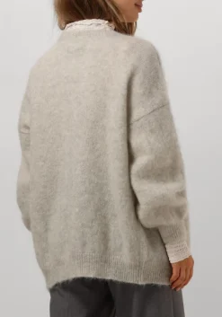 DAMES DES PETITS HAUTS grijze vest altea