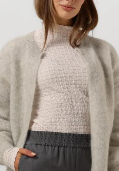 DAMES DES PETITS HAUTS grijze vest altea