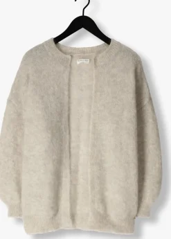 DAMES DES PETITS HAUTS grijze vest altea