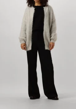 DAMES DES PETITS HAUTS grijze vest altea