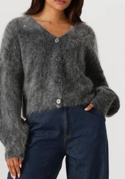 DAMES GESTUZ grijze vest gzdebbie cardigan
