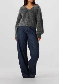 DAMES GESTUZ grijze vest gzdebbie cardigan